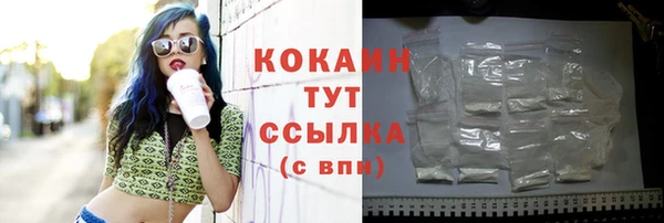 спиды Мегион