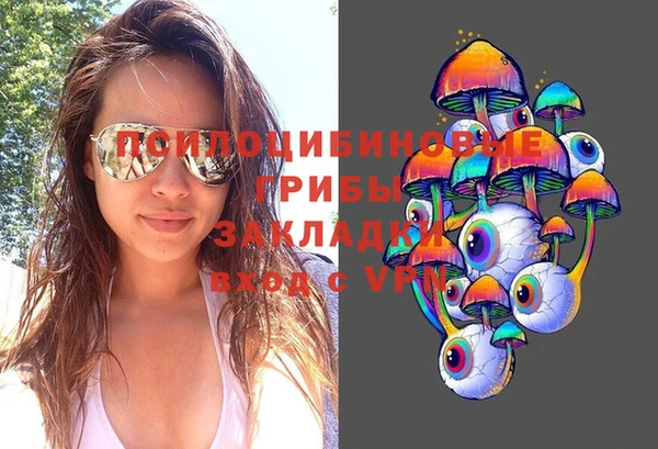 МДМА Медвежьегорск