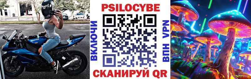 Псилоцибиновые грибы Psilocybine cubensis  Купить где  Питкяранта 